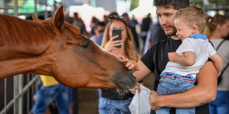 Megnyílt a Farmer Expo Debrecenben