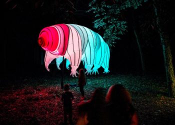 Fényfesztivál Debrecenben