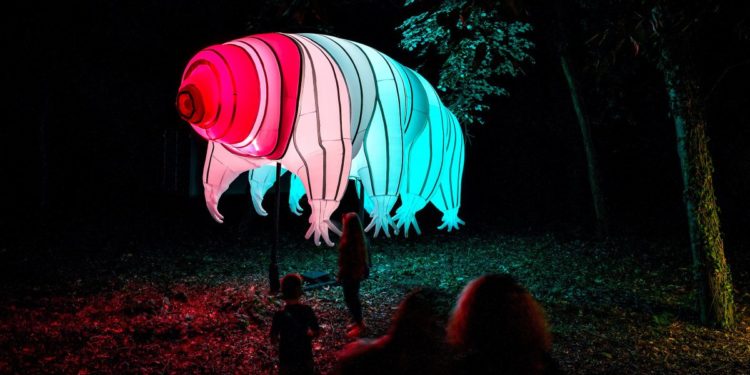 Fényfesztivál Debrecenben