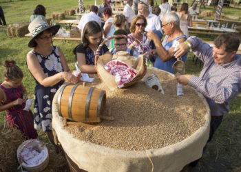 Összeöntötték a búzát a gazdák Nemeshanyban