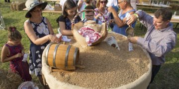 Összeöntötték a búzát a gazdák Nemeshanyban