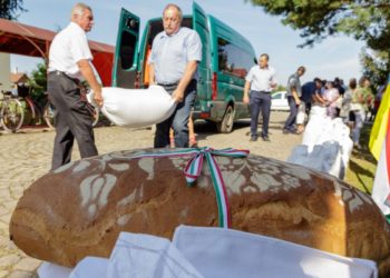 Magyarok Kenyere – Összeöntötték a kárpátaljai magyar gazdák által összegyűjtött búzát Nagydobronyban