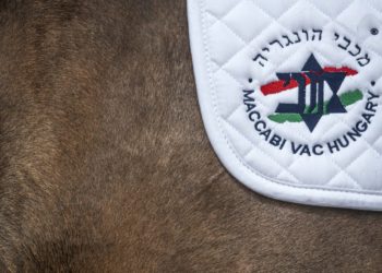 Mazsihisz-elnök: a kormány támogatása nélkül soha nem tudtuk volna megrendezni az Európai Maccabi Játékokat