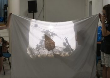 Megkezdődött a Demo Wood Nyári Alkotótábor Tokajban