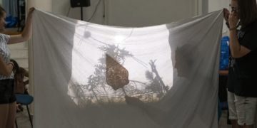 Megkezdődött a Demo Wood Nyári Alkotótábor Tokajban