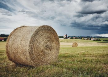 Jelentős lehűlés várható szeptember első hetében