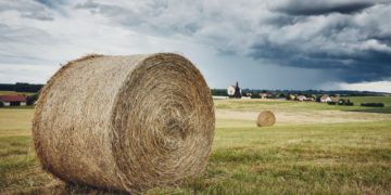 Jelentős lehűlés várható szeptember első hetében