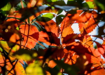 Tavaszias idővel közeledünk a hétvégéhez