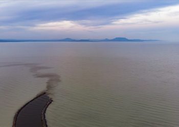 Egészségre ártalmatlan tőzeges víz folyik a Balatonba