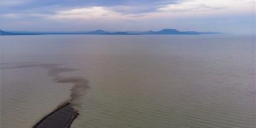 Egészségre ártalmatlan tőzeges víz folyik a Balatonba