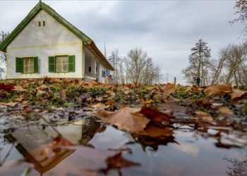 Fekete István-emlékhelyet avattak Fenékpusztán