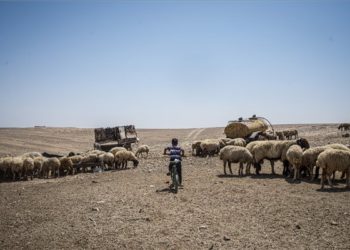 Az MTI fotósa első díjat nyert Izrael legrangosabb fényképészversenyén