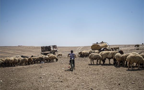 Az MTI fotósa első díjat nyert Izrael legrangosabb fényképészversenyén