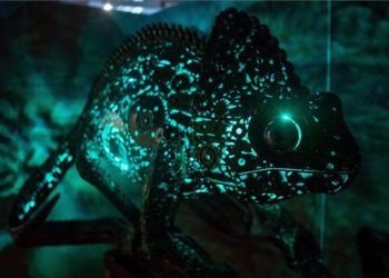 Használt autóalkatrészekből készült szobrokból nyílt kiállítás a fővárosban