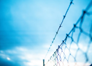 Egyre több a helyben született menedékkérő Németországban