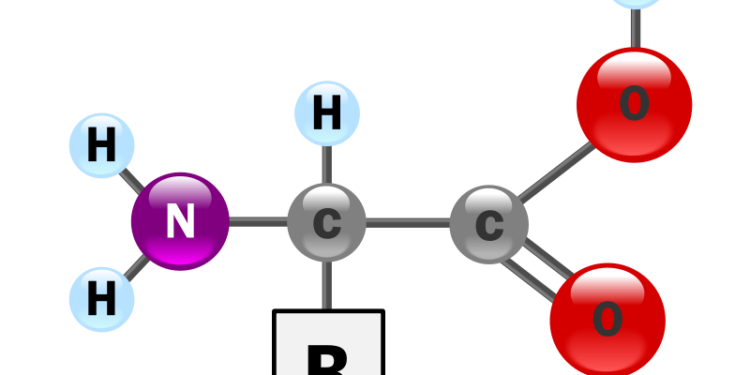 A sejtek oxigén elleni védekezésének új útvonalát tárták fel az Onkológiai Intézet kutatói