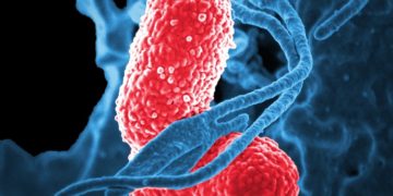 Egy új koronavírus okozza a közép-kínai tüdőgyulladásos járványt