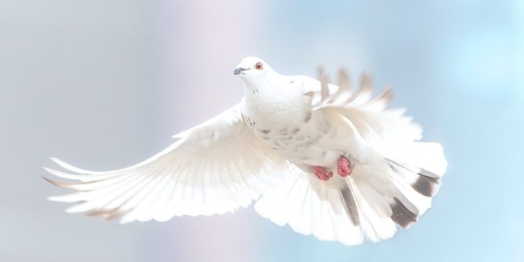 Trump még Netanjahu és Ganz Washingtonba érkezése előtt felvázolja palesztin-izraeli béketervét