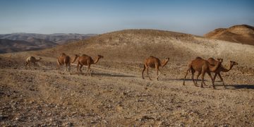Salamon király bányáit rejtheti Izraelben a Timna Nemzeti Park