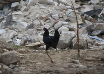 Erős földrengés rázta meg Délkelet-Törökországot, több halott