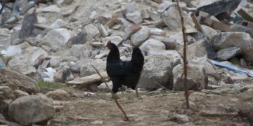 Erős földrengés rázta meg Délkelet-Törökországot, több halott