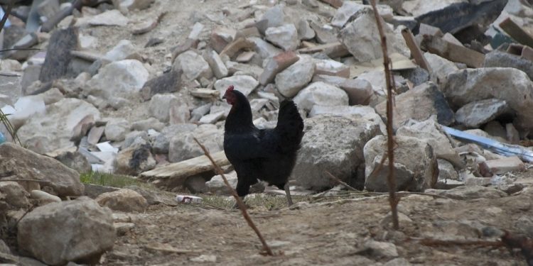 Erős földrengés rázta meg Délkelet-Törökországot, több halott