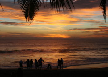 VADKELETI TÖRTÉNET –  Gyógyulás a világ végén