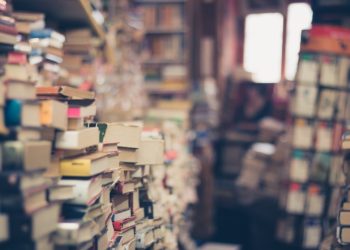 Demeter Szilárd: a magyar irodalom infrastruktúrájának megújítására kaptam megbízást