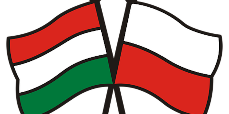 Csenger-Zalán Zsolt: elfogadhatatlan a kettős mérce alkalmazását Lengyelországgal szemben