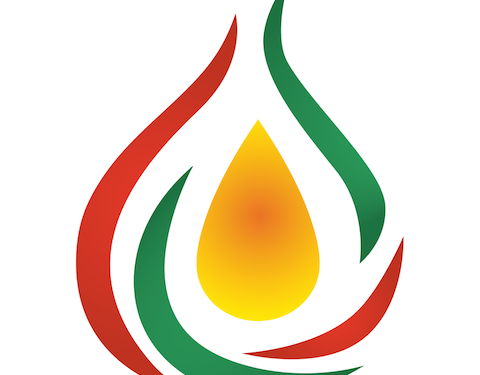 Gyöngyöspatai iskolaügy – Nemzeti Pedagógus Kar: az államnak a képzésbeli hiányosságot kell pótolnia