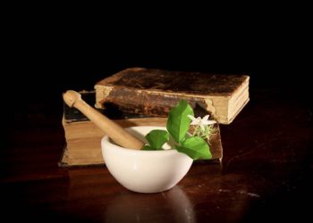 Kábítószerrel kereskedett egy lökösházi család, a rendőrök elfogták őket (videó)