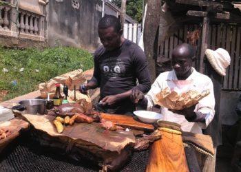 Parlamenti és önkormányzati választások kezdődtek Kamerunban