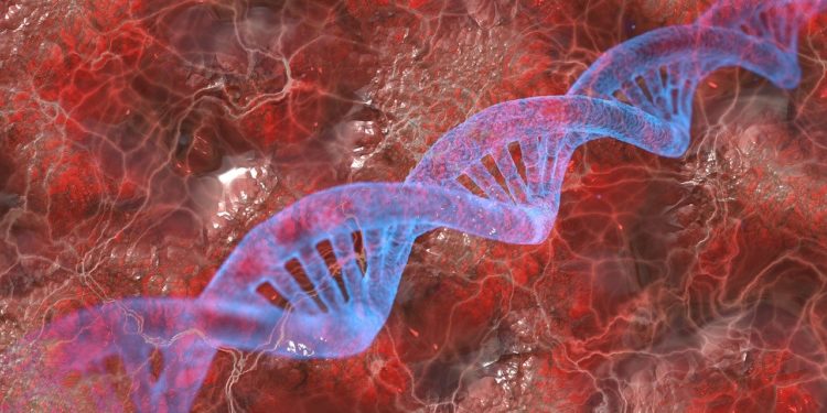 Nem a szülők génjein múlik, hogy milyen nemű gyerekek születnek egy ausztrál kutatás szerint