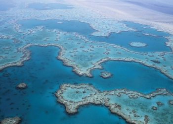 Újabb korallfehéredés jeleit mutatja az ausztrál Nagy-korallzátony