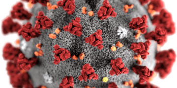 Nem fertőzött a Kínából Budapestre érkezett férfi