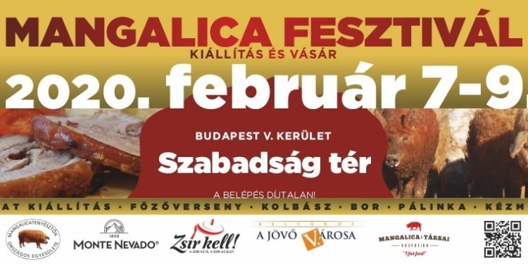 AM-államtitkár: a mangalicatenyésztés a 21. században is piacképes