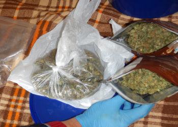 Szimatot fogtak a rákosmentei rendőrök