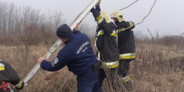 KÚTBA ESETT KUTYÁT MENTETTEK