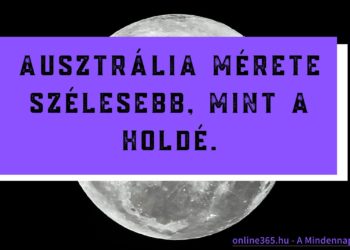 Mindennapi Netevő