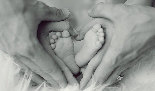 Novák: a magyar családtámogatás nemzetközi összehasonlításban is kiemelkedő