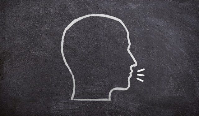 Alkotmányosnak bizonyult Romániában az anyanyelvhasználatot is szabályozó új közigazgatási kódex