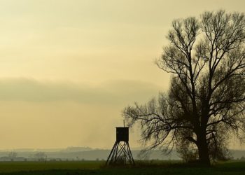 Megnyílt a 27. FeHoVa kiállítás Budapesten