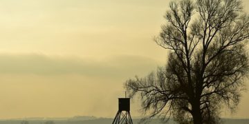 Megnyílt a 27. FeHoVa kiállítás Budapesten