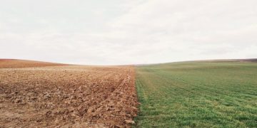 Nagyszabású földértékesítési programot indít az Agrárminisztérium