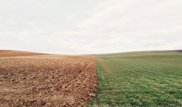 Nagyszabású földértékesítési programot indít az Agrárminisztérium