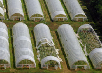 Milliárdos károkat okoztak a múlt heti viharok