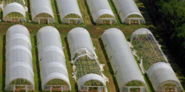 Milliárdos károkat okoztak a múlt heti viharok