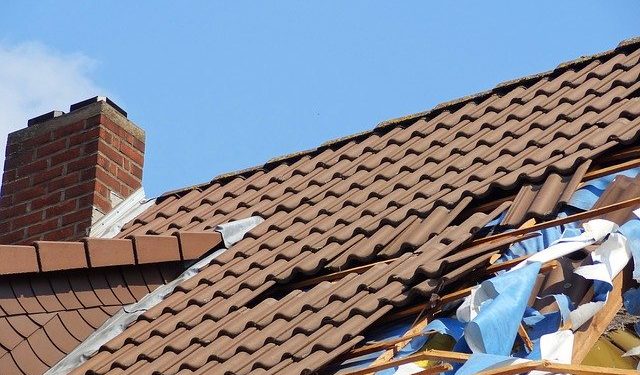 Mabisz: a hárommilliárd forintot is megközelíti a februári viharszámla