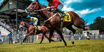 Az ITM 150 millió forinttal támogatja a magyar lovassport 2024-es kvalifikációját