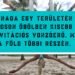 Mindennapi Netevő